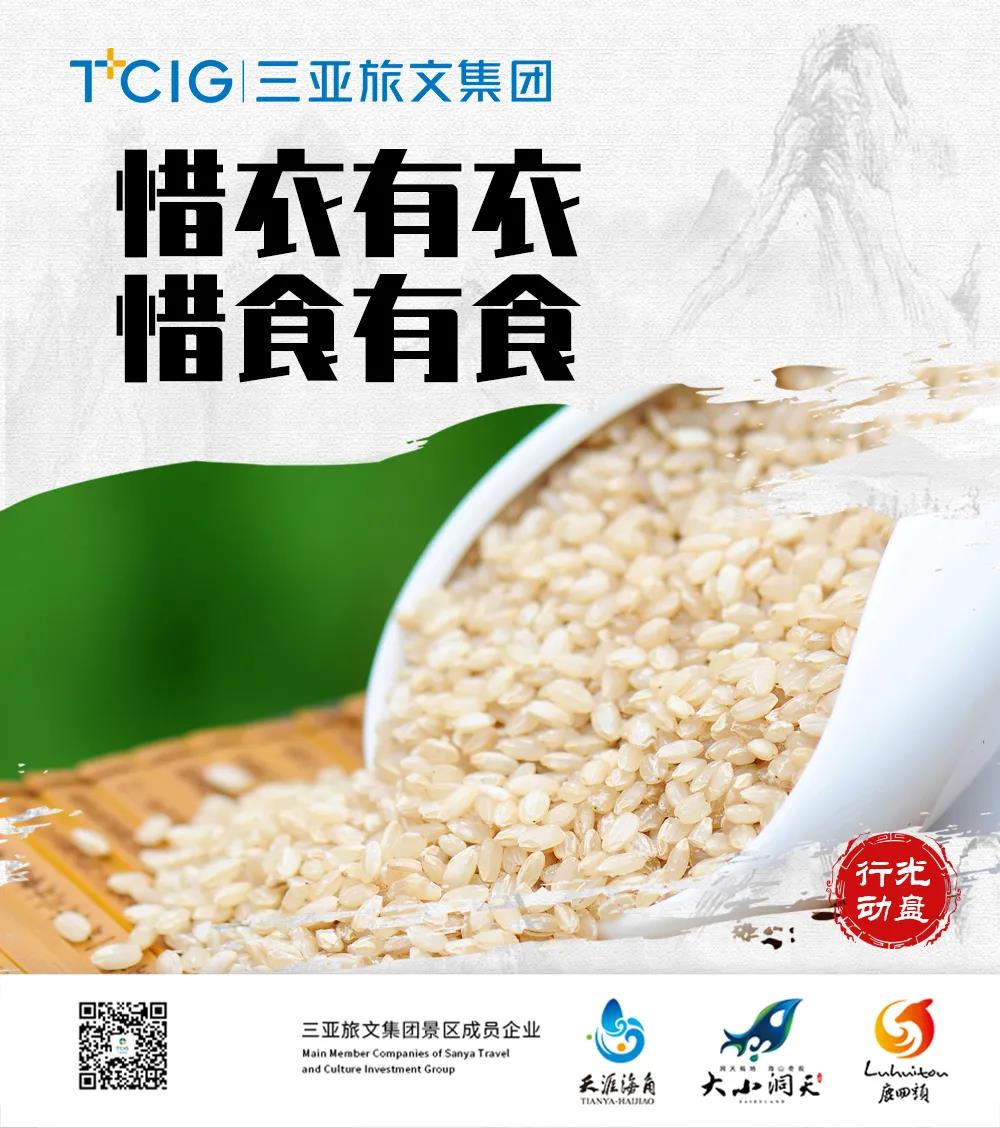 三亚旅游文化发展集团有限公司 三亚旅游文化发展集团有限公司