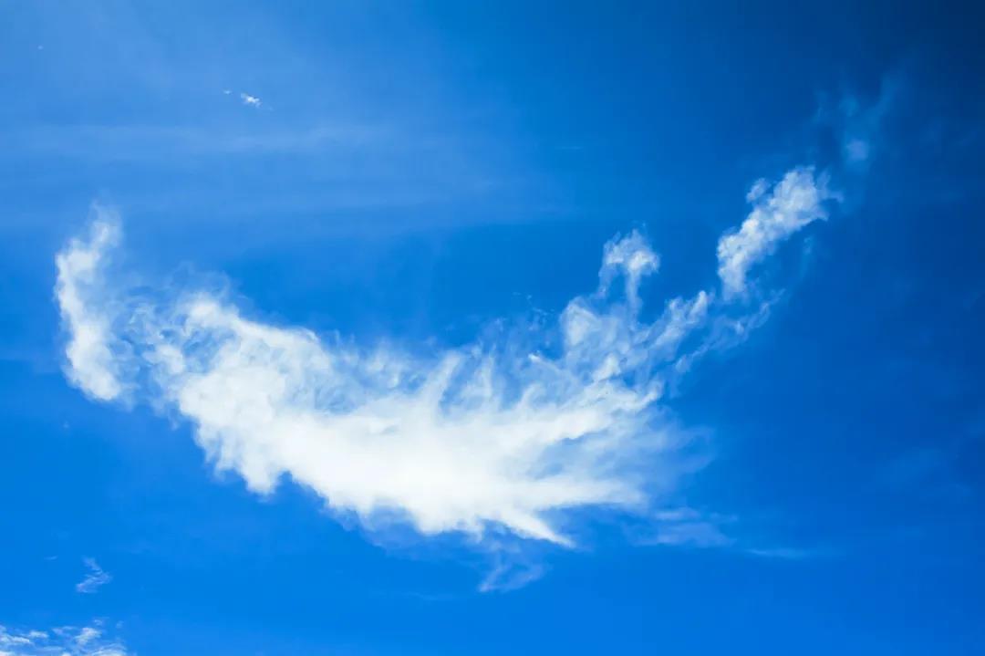 三亚旅游文化发展集团有限公司 三亚旅游文化发展集团有限公司