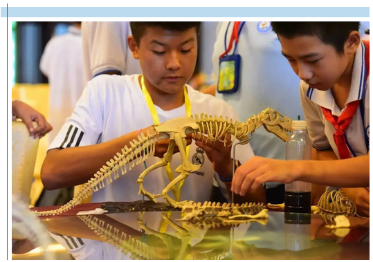 三亚旅游文化发展集团有限公司 三亚旅游文化发展集团有限公司