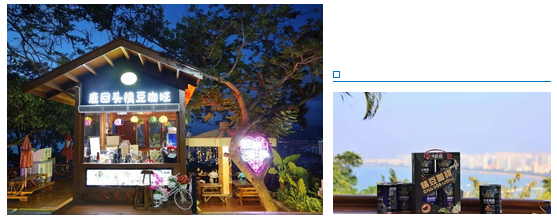 三亚旅游文化发展集团有限公司 三亚旅游文化发展集团有限公司