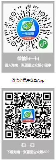 三亚旅游文化发展集团有限公司 三亚旅游文化发展集团有限公司