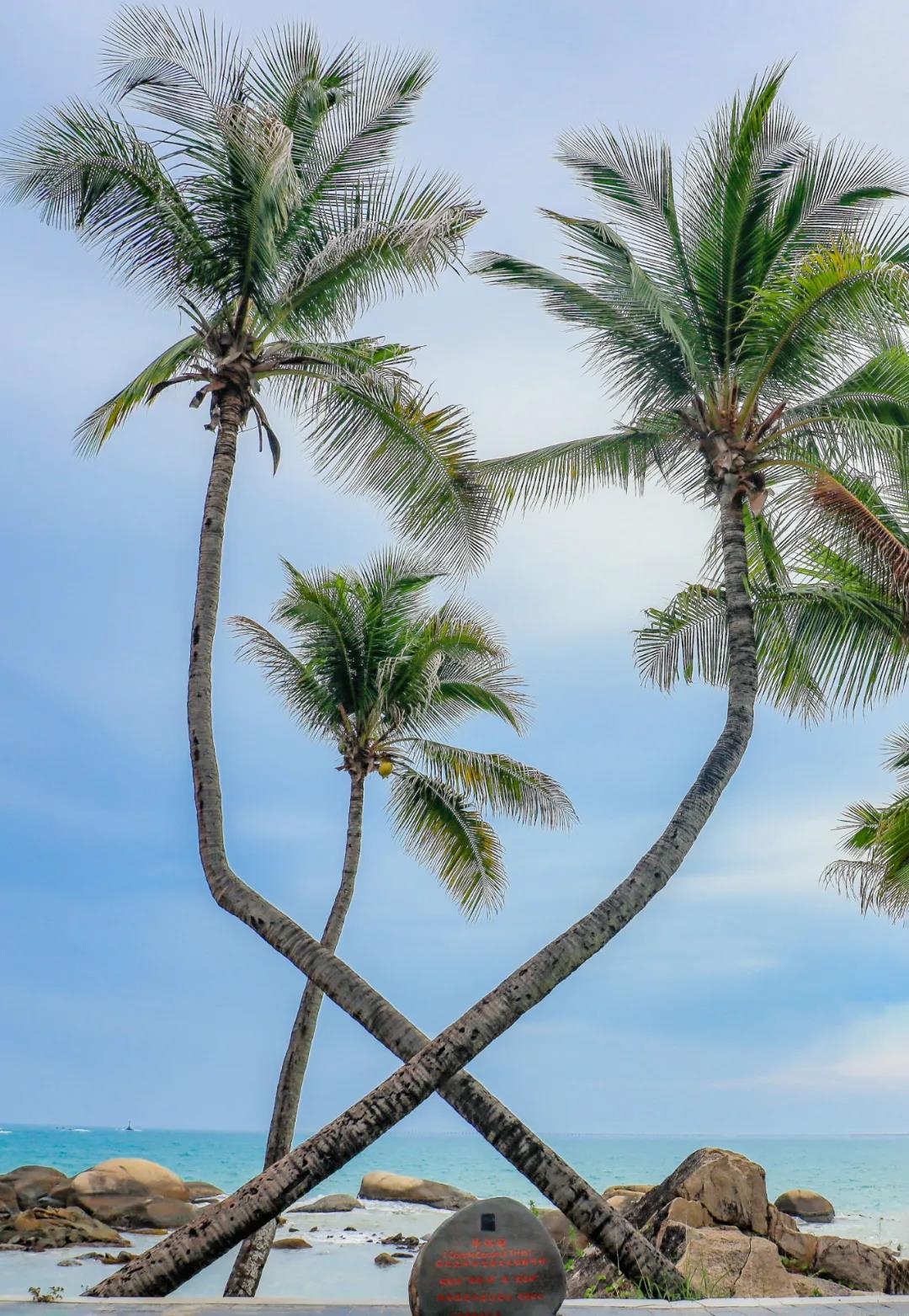 三亚旅游文化发展集团有限公司