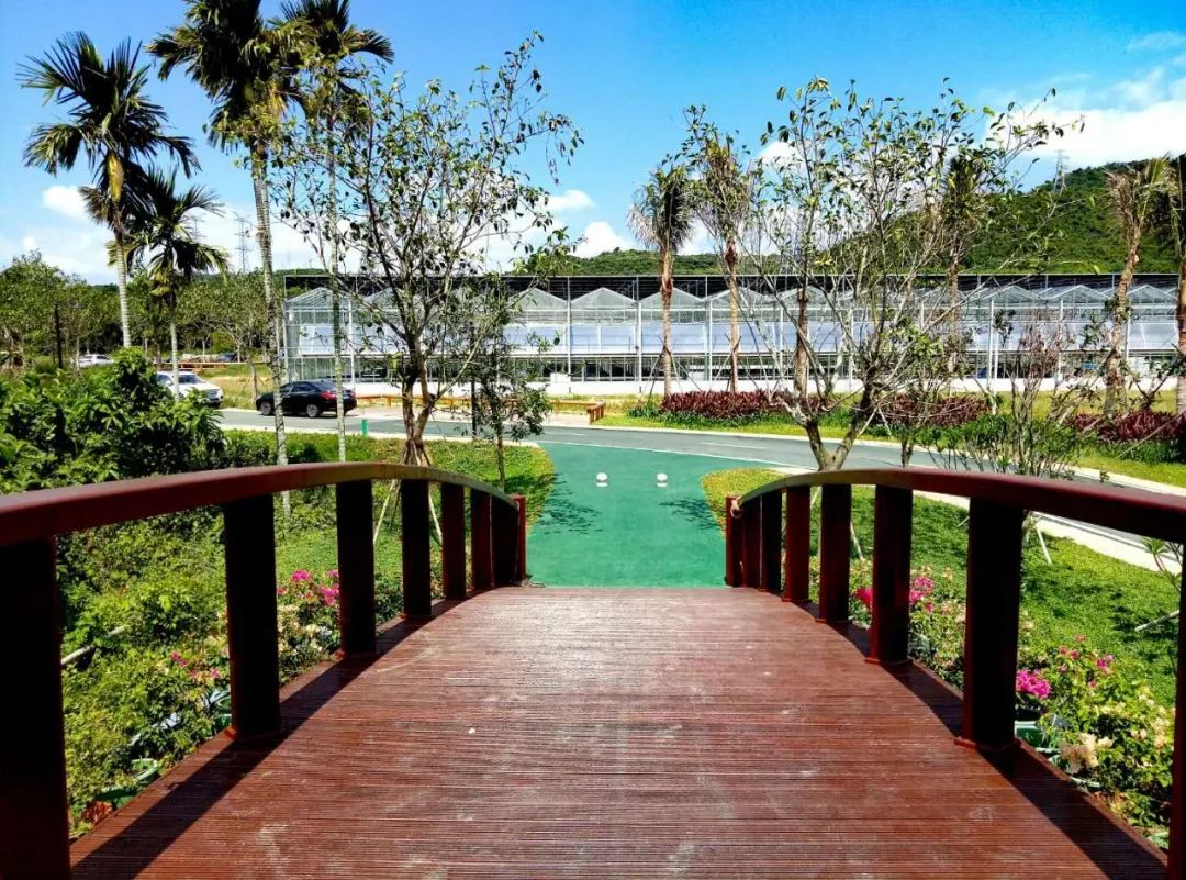 三亚旅游文化发展集团有限公司 三亚旅游文化发展集团有限公司