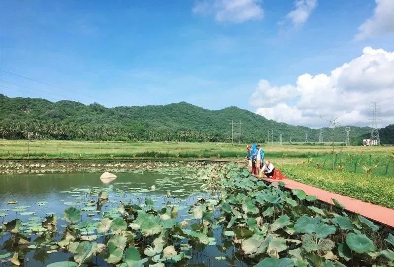 三亚旅游文化发展集团有限公司 三亚旅游文化发展集团有限公司