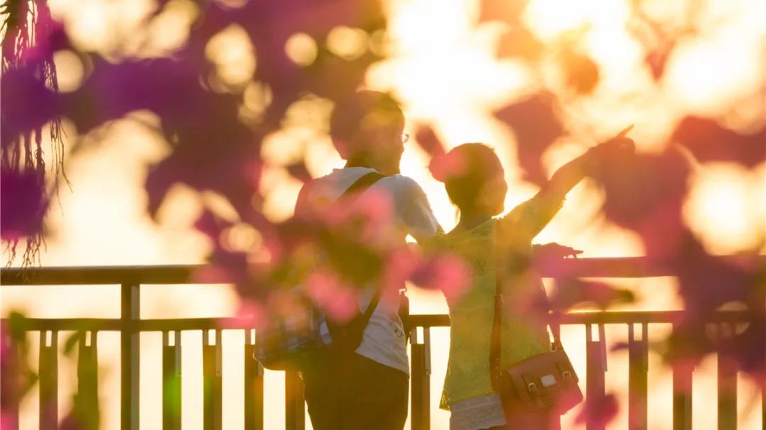 三亚旅游文化发展集团有限公司