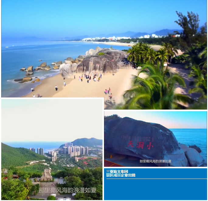 三亚旅游文化发展集团有限公司