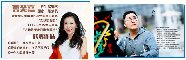 三亚旅游文化发展集团有限公司