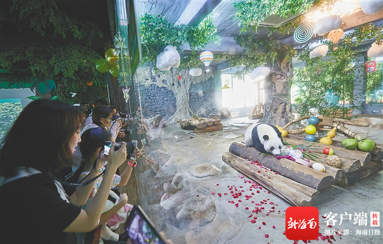 三亚旅游文化发展集团有限公司 三亚旅游文化发展集团有限公司