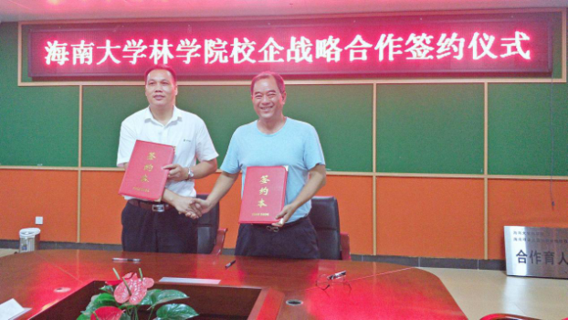 三亚旅游文化发展集团有限公司 三亚旅游文化发展集团有限公司