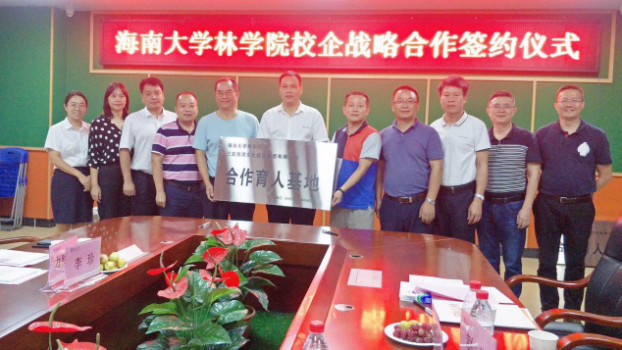 三亚旅游文化发展集团有限公司 三亚旅游文化发展集团有限公司