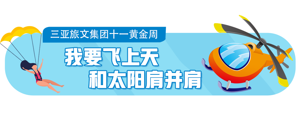 三亚旅游文化发展集团有限公司 三亚旅游文化发展集团有限公司