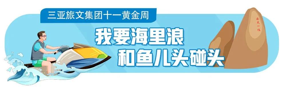 三亚旅游文化发展集团有限公司 三亚旅游文化发展集团有限公司