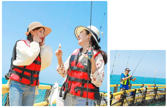 三亚旅游文化发展集团有限公司 三亚旅游文化发展集团有限公司