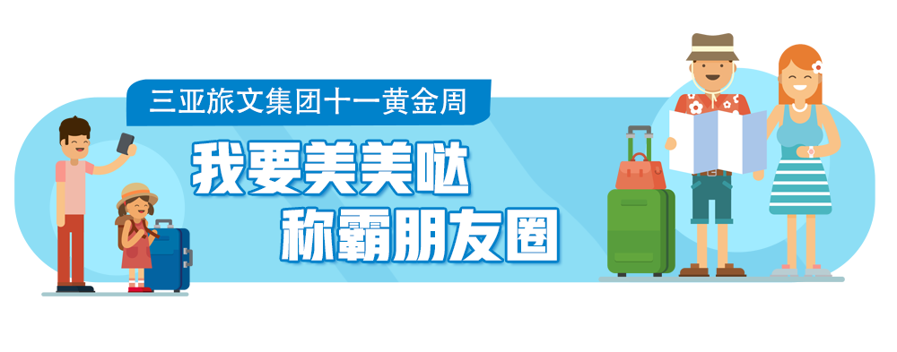 三亚旅游文化发展集团有限公司 三亚旅游文化发展集团有限公司