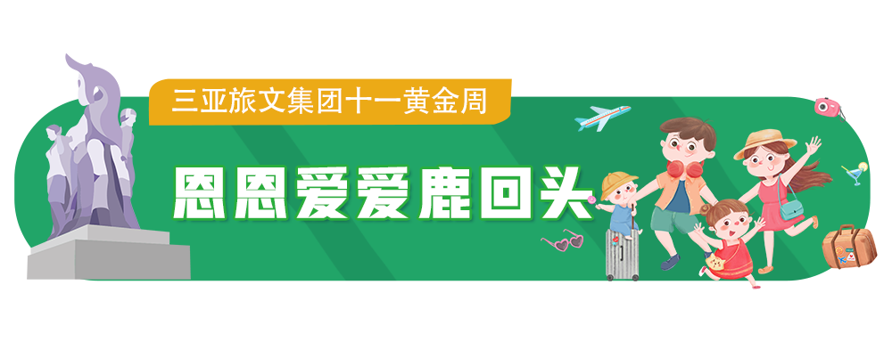 三亚旅游文化发展集团有限公司