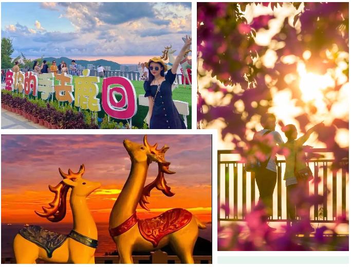 三亚旅游文化发展集团有限公司