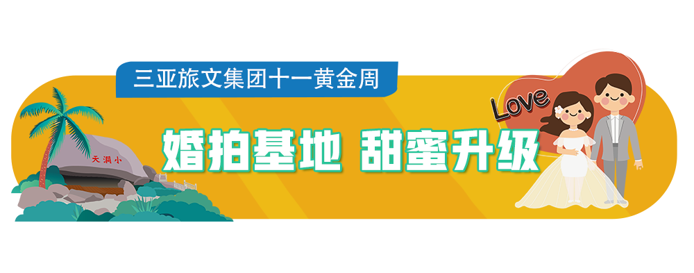 三亚旅游文化发展集团有限公司 三亚旅游文化发展集团有限公司