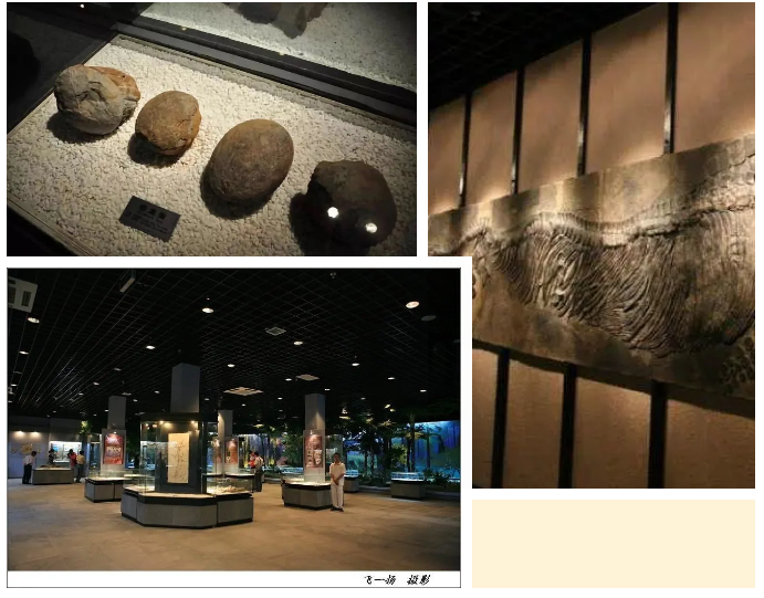 三亚旅游文化发展集团有限公司 三亚旅游文化发展集团有限公司