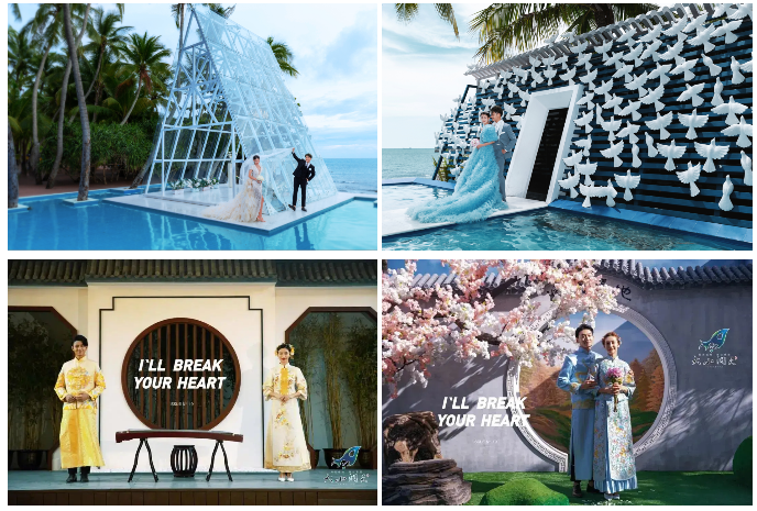 三亚旅游文化发展集团有限公司 三亚旅游文化发展集团有限公司