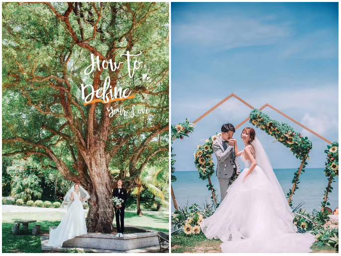 三亚旅游文化发展集团有限公司 三亚旅游文化发展集团有限公司