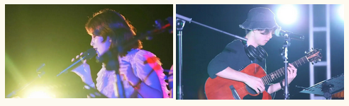 三亚旅游文化发展集团有限公司