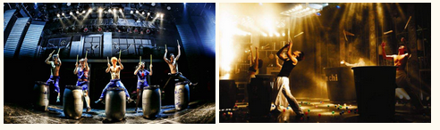 三亚旅游文化发展集团有限公司