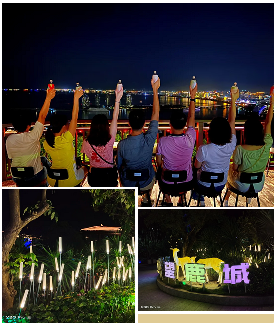 三亚旅游文化发展集团有限公司 三亚旅游文化发展集团有限公司