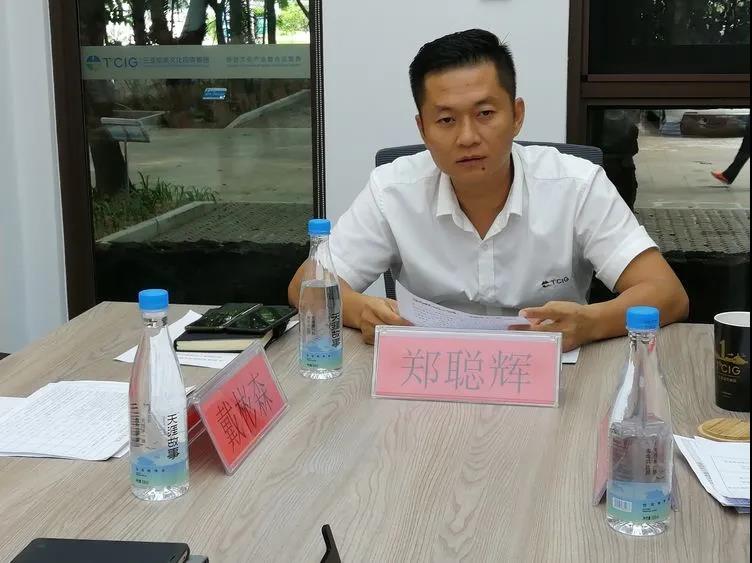 三亚旅游文化发展集团有限公司 三亚旅游文化发展集团有限公司