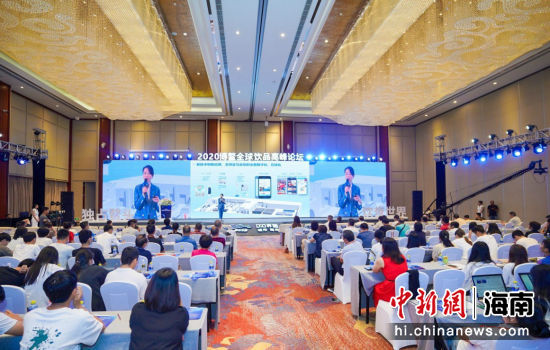 三亚旅游文化发展集团有限公司