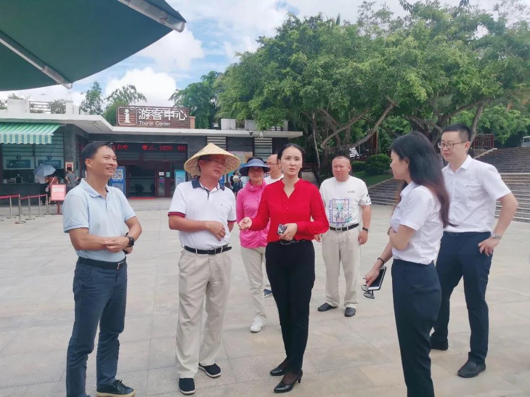 三亚旅游文化发展集团有限公司 三亚旅游文化发展集团有限公司