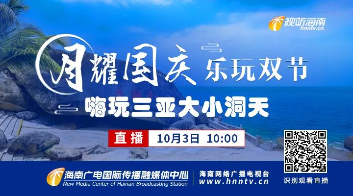 三亚旅游文化发展集团有限公司 三亚旅游文化发展集团有限公司