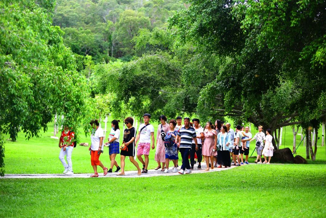 三亚旅游文化发展集团有限公司 三亚旅游文化发展集团有限公司