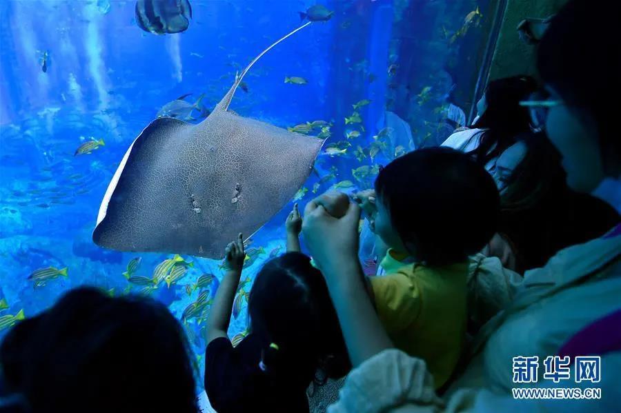 三亚旅游文化发展集团有限公司