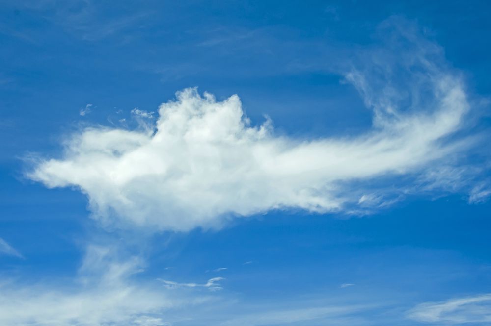 三亚旅游文化发展集团有限公司 三亚旅游文化发展集团有限公司