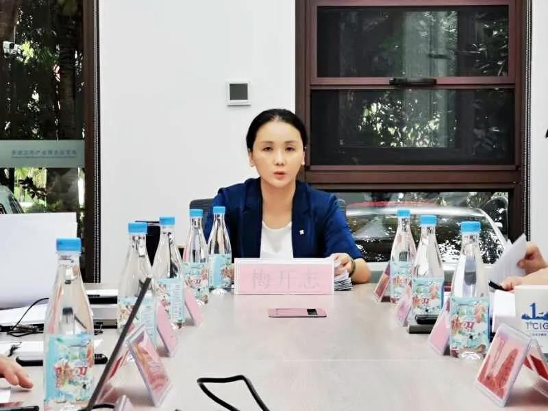 三亚旅游文化发展集团有限公司