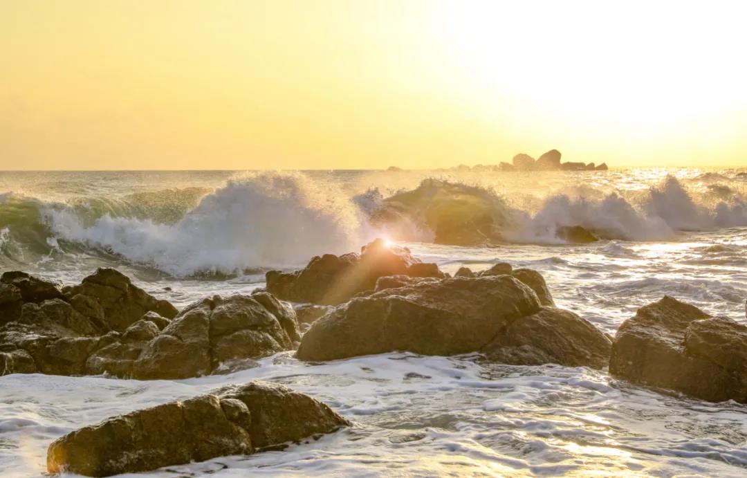 三亚旅游文化发展集团有限公司