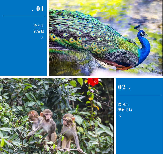 三亚旅游文化发展集团有限公司