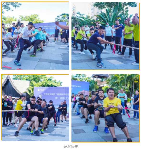 三亚旅游文化发展集团有限公司