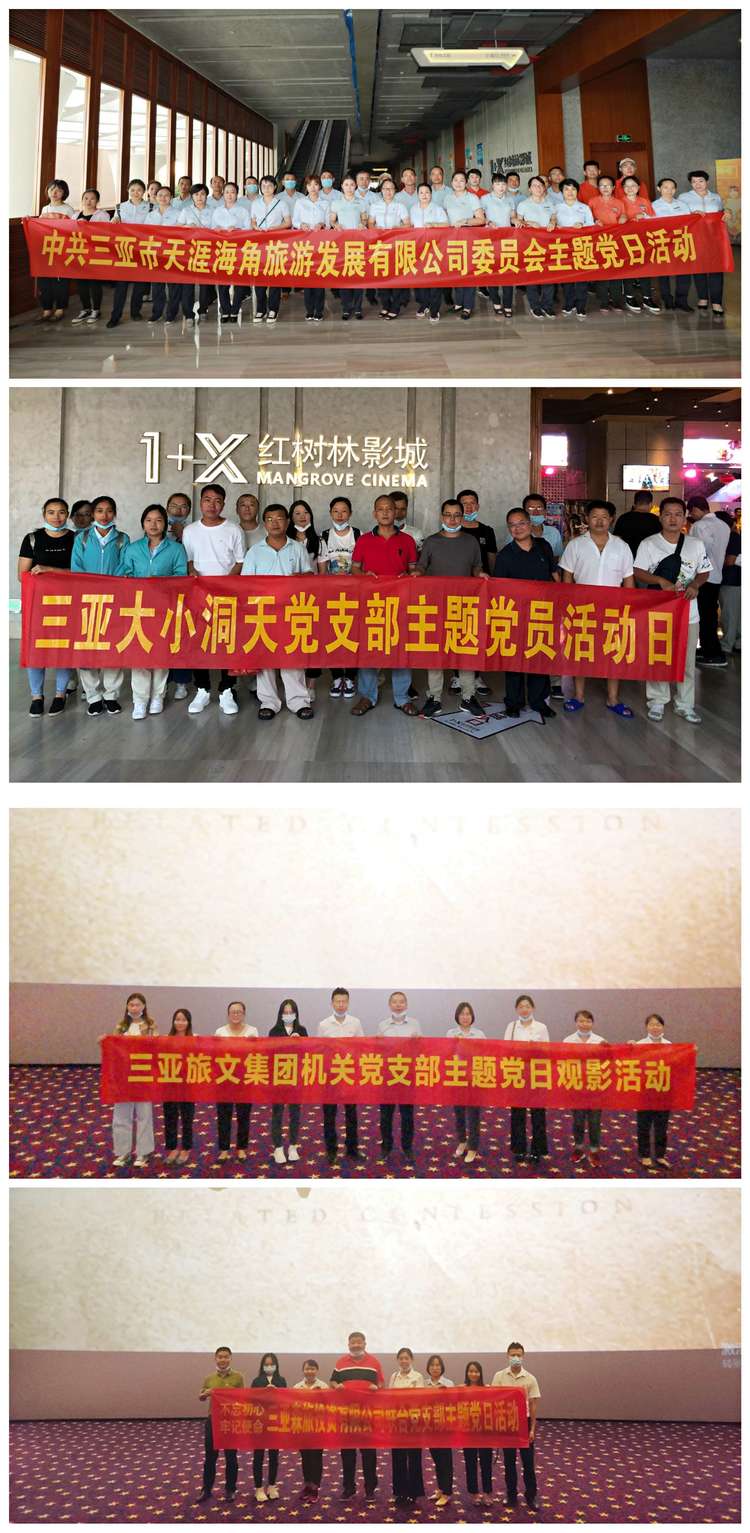 三亚旅游文化发展集团有限公司 三亚旅游文化发展集团有限公司