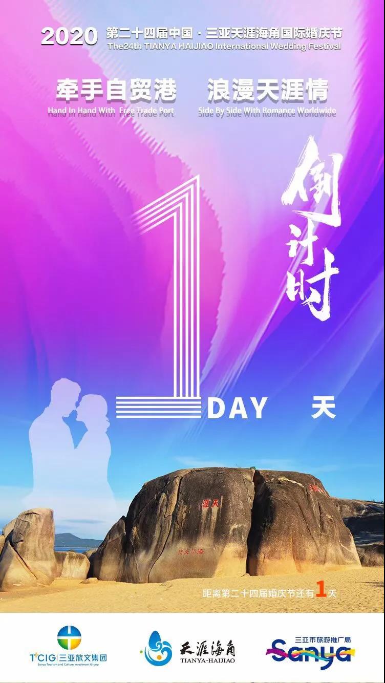 三亚旅游文化发展集团有限公司 三亚旅游文化发展集团有限公司