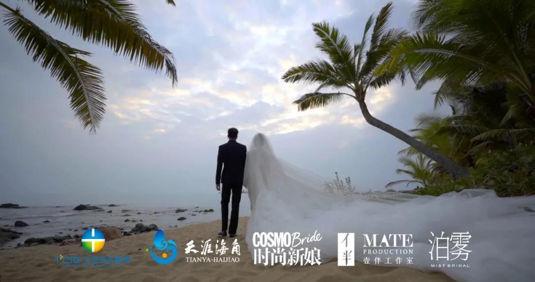 三亚旅游文化发展集团有限公司 三亚旅游文化发展集团有限公司