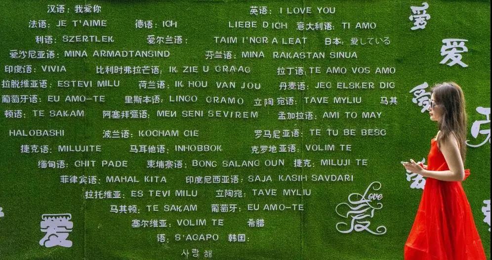 三亚旅游文化发展集团有限公司