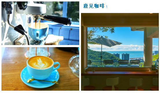 三亚旅游文化发展集团有限公司