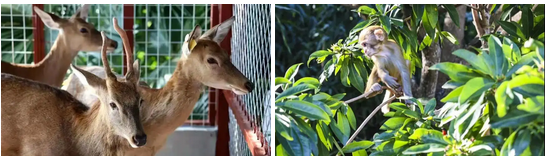 三亚旅游文化发展集团有限公司