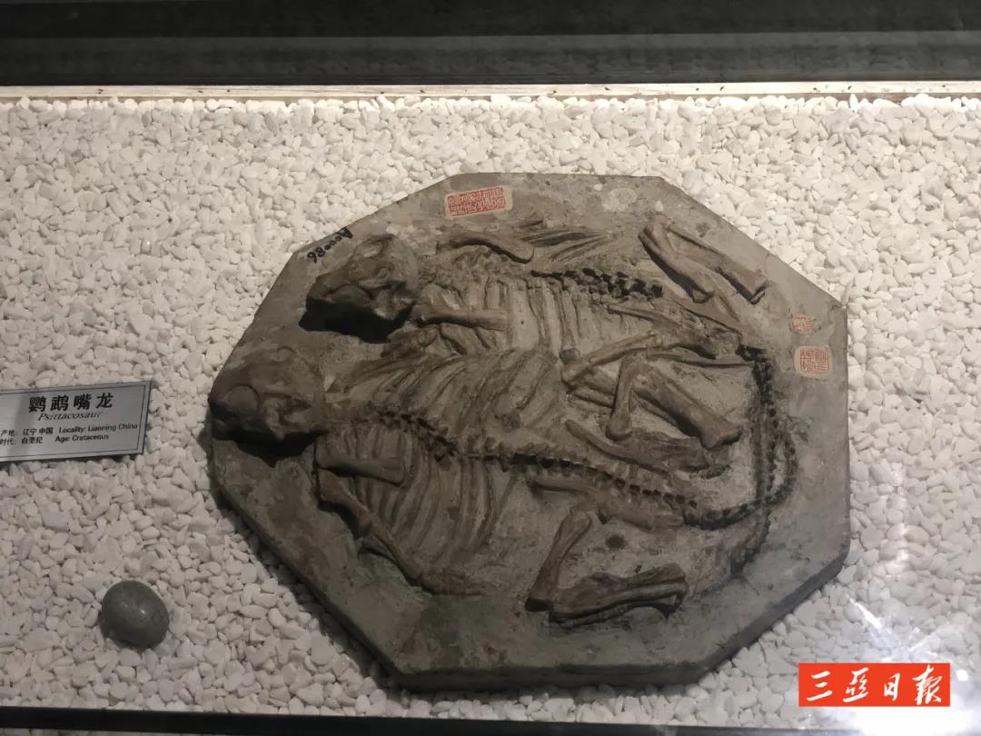 三亚旅游文化发展集团有限公司 三亚旅游文化发展集团有限公司