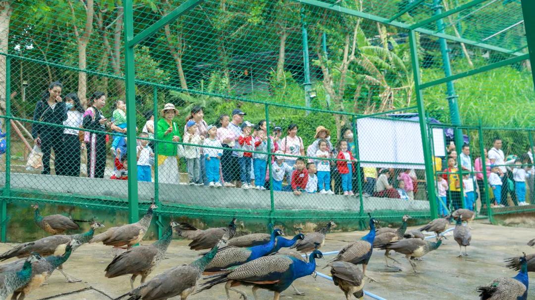三亚旅游文化发展集团有限公司