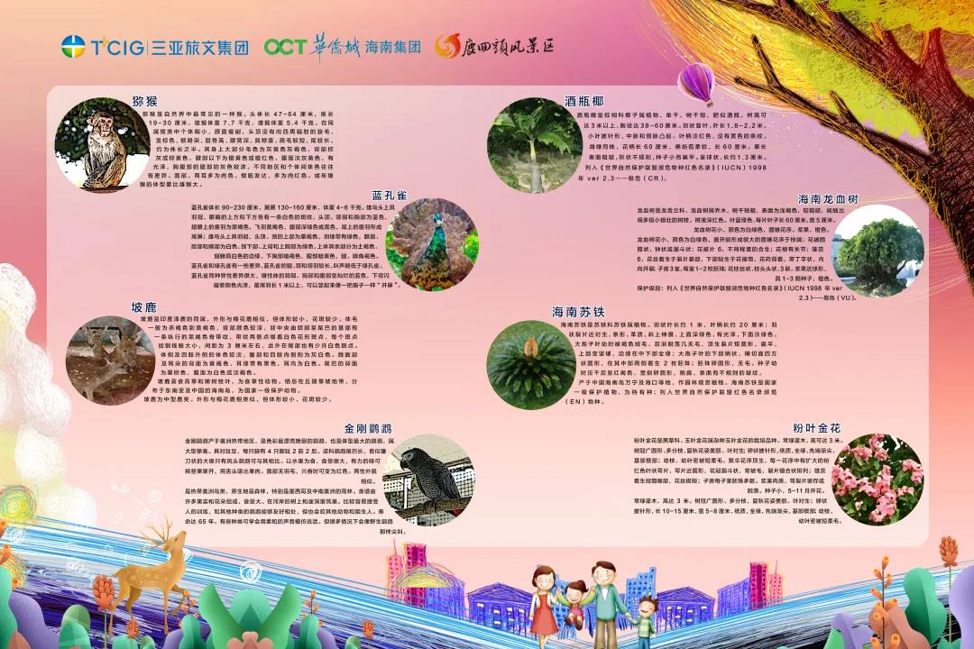 三亚旅游文化发展集团有限公司