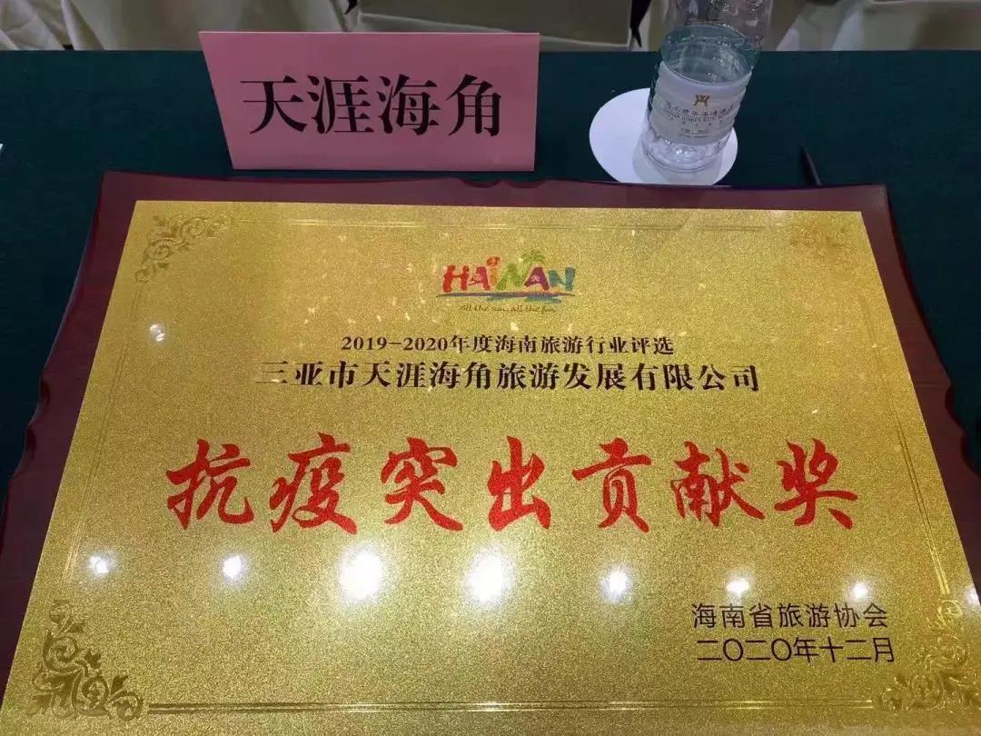 三亚旅游文化发展集团有限公司 三亚旅游文化发展集团有限公司