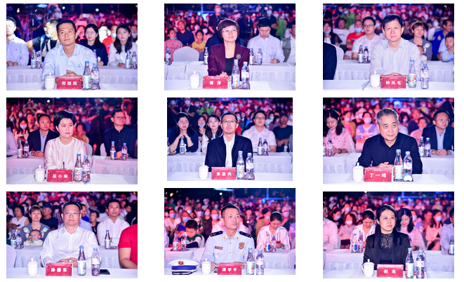 三亚旅游文化发展集团有限公司 三亚旅游文化发展集团有限公司