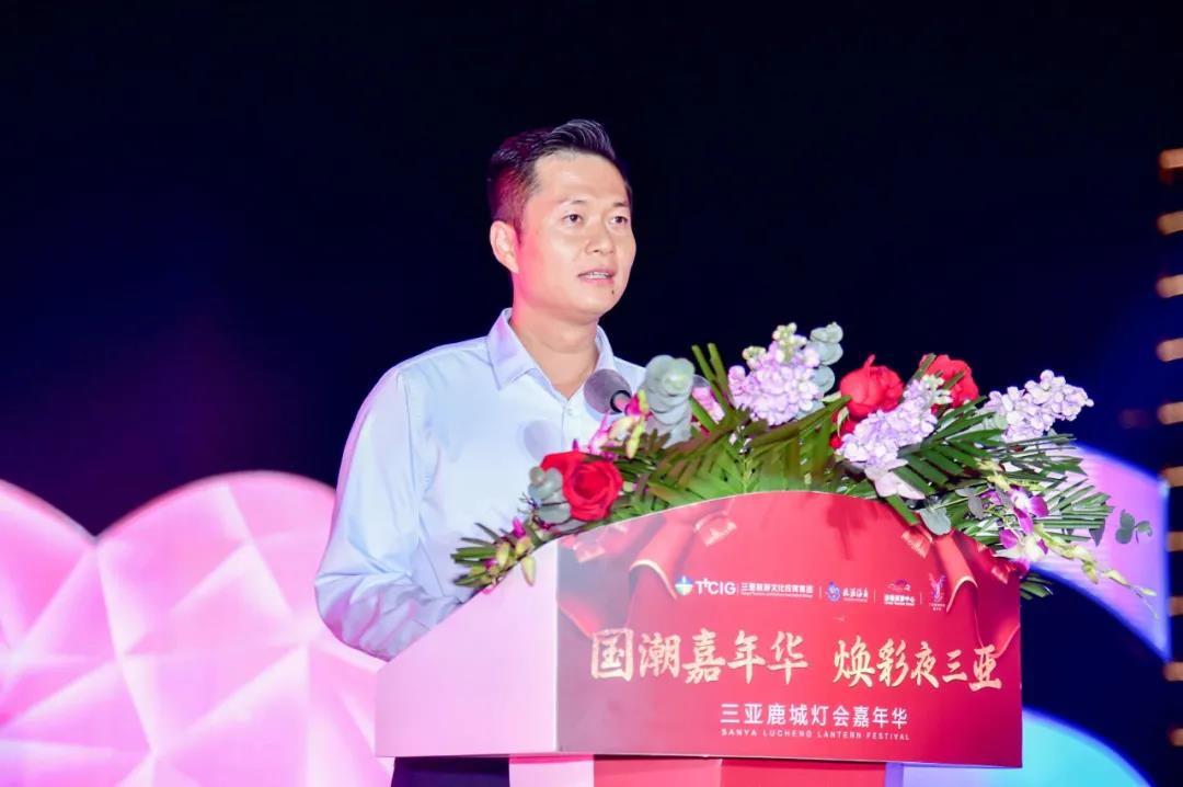 三亚旅游文化发展集团有限公司 三亚旅游文化发展集团有限公司